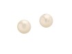 Pearl Stud Earrings